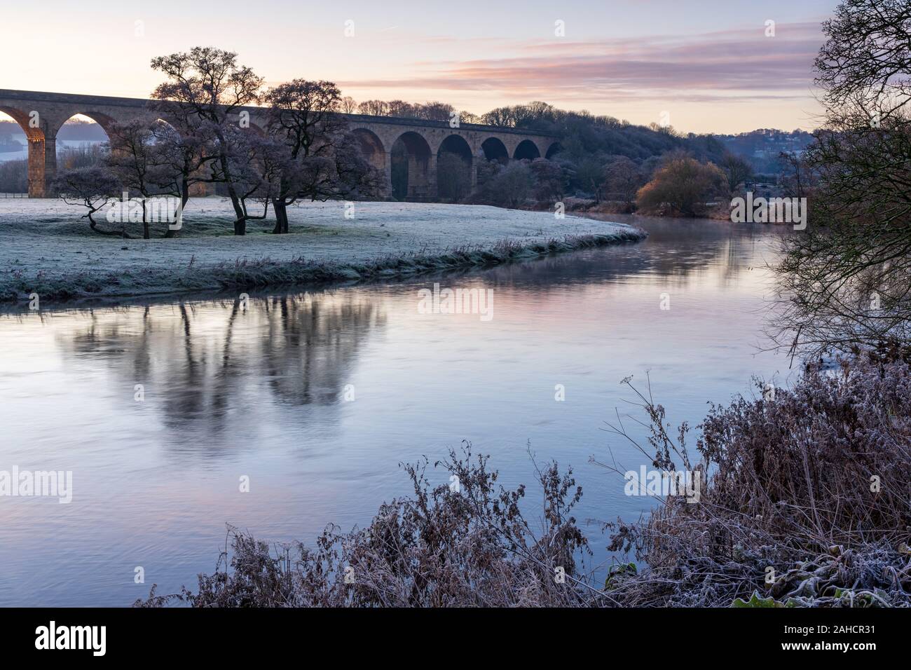 The first light of day produces pastel tones in the landscape on the bank of the River Wharfe by Arthington Viaduct on a frosty autumn morning. Stock Photo