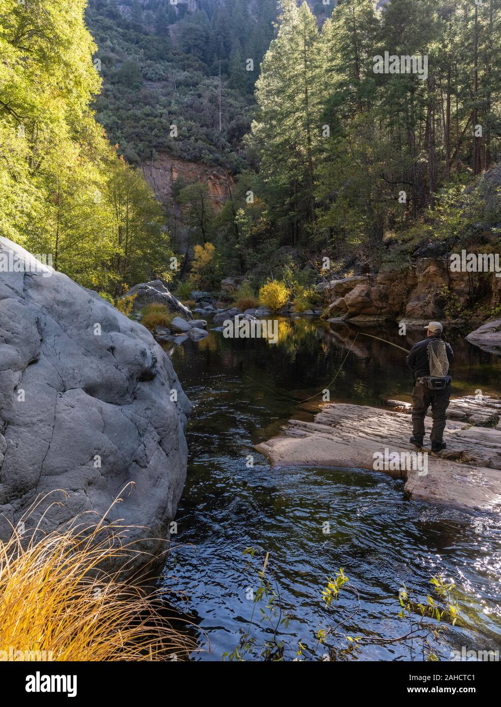 Fly fishing Oak Creek, Oak CReek Canyon, Sedona, Arizona Stock Photo