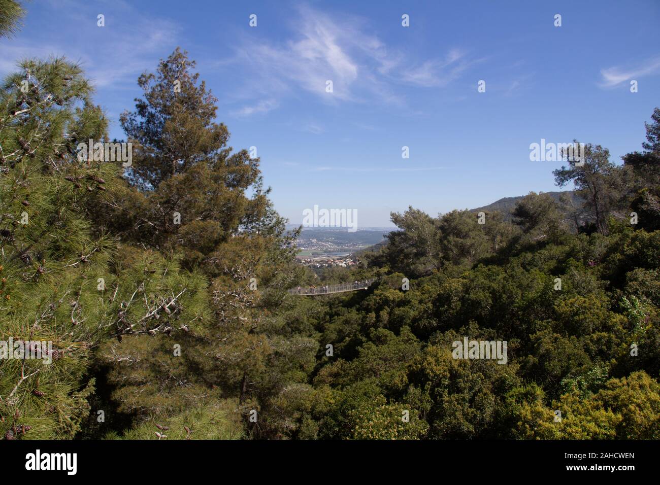 The beauty of nature Stock Photo - Alamy