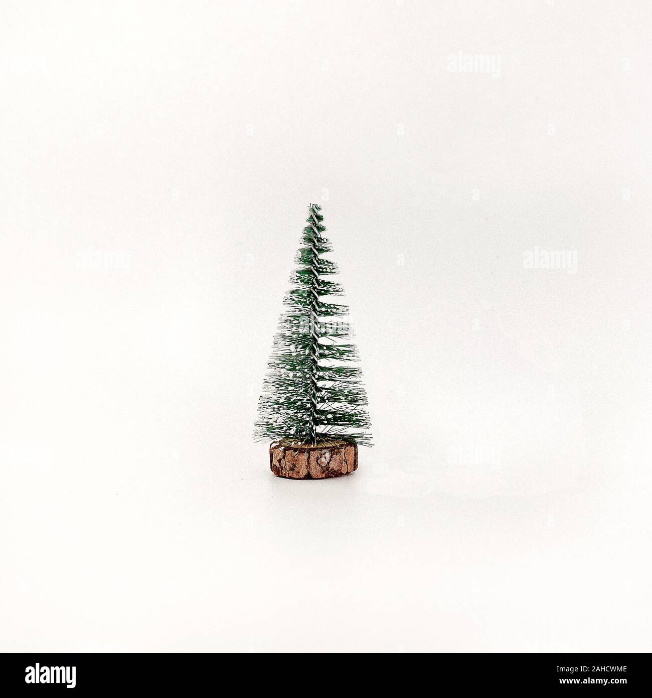 Miniature Christmas tree isolated on white background Stock Photo - Alamy