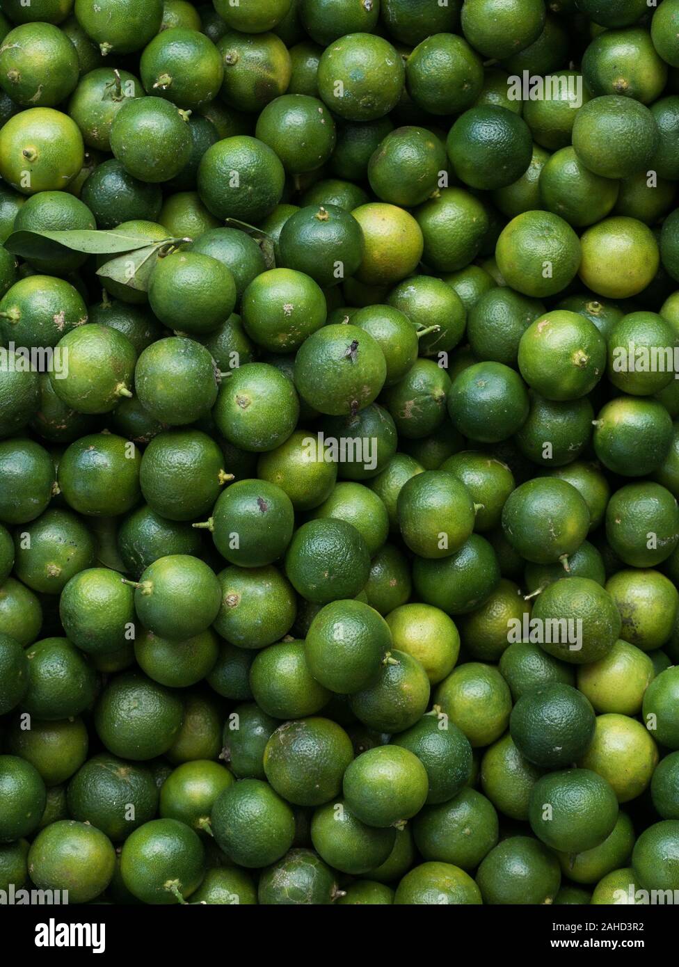 Various fresh and green lime fruits at the fruit market fully filling the frame Stock Photo