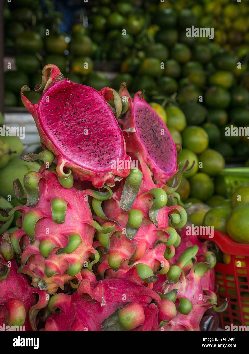 Fresh and beautifully arranged pink dragon fruits (entire and cut) with various mangos in the background at Vietnamese fruit market, portrait frame Stock Photo