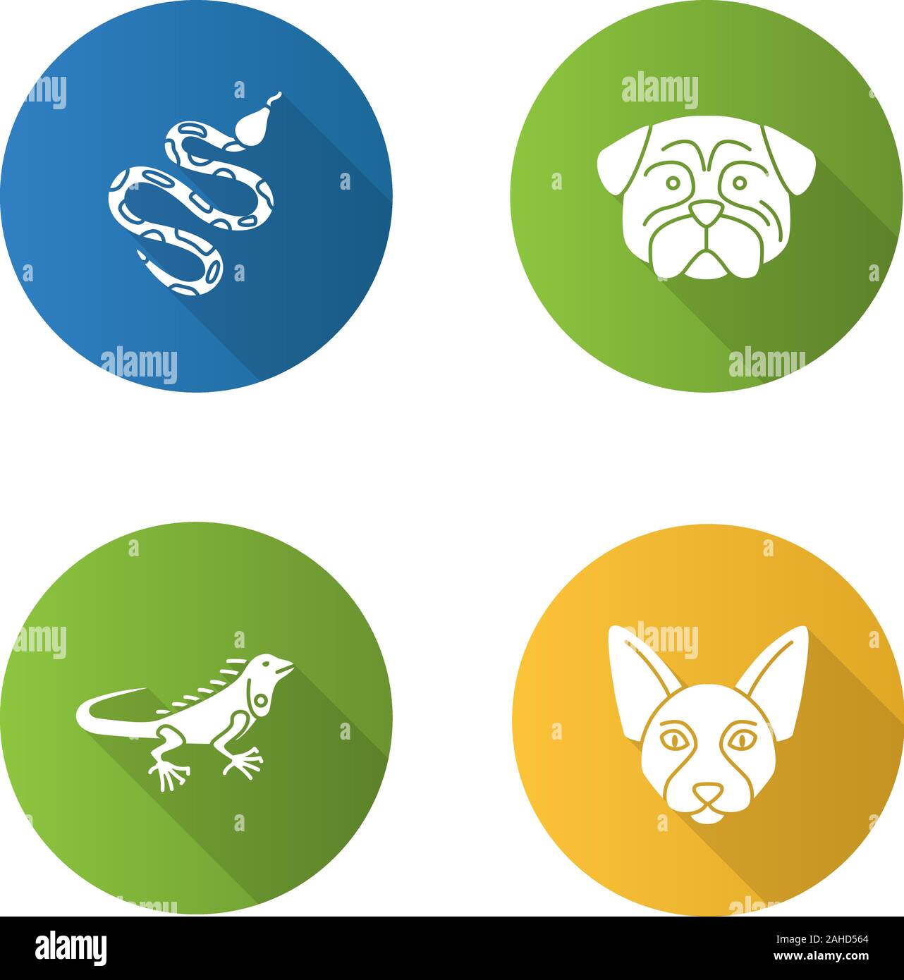 Anaconda store hi-res stock photography and images - Alamy