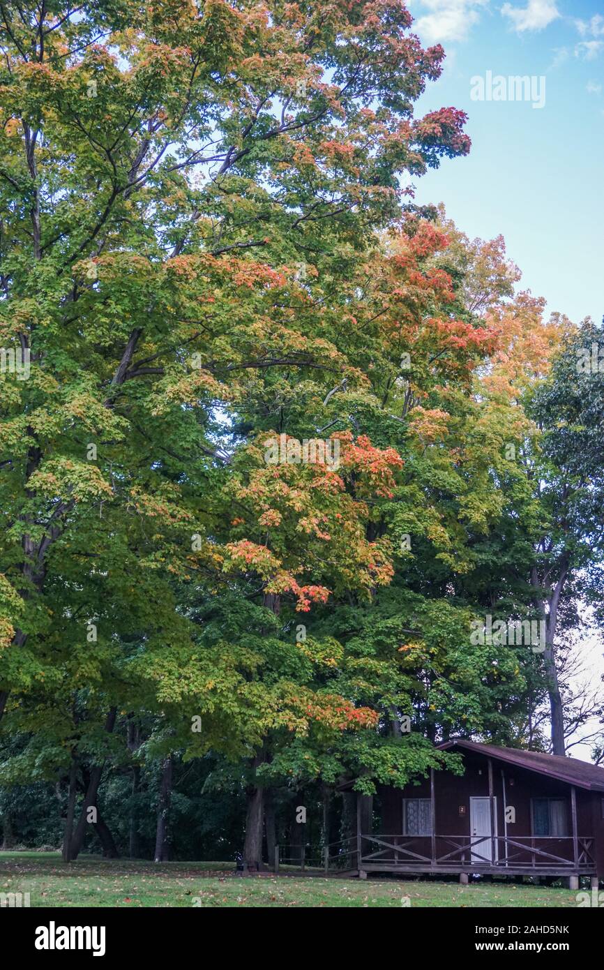 Croton Point Park, Croton-On-Hudson, New York, USA: A cabin under oak trees in autumn foliage. Stock Photo