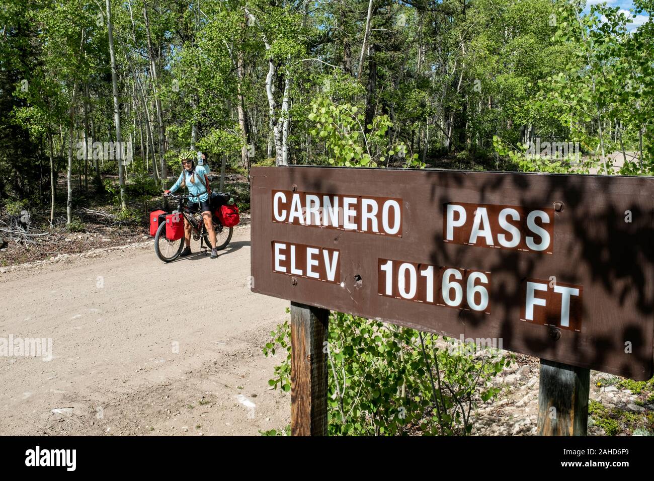 CO00105-00...COLORADO - Carnero Pass along the Great Divide Mountain Bike Route on Forest Road 41G in Rio Grand National Forest, Saguache County. Stock Photo