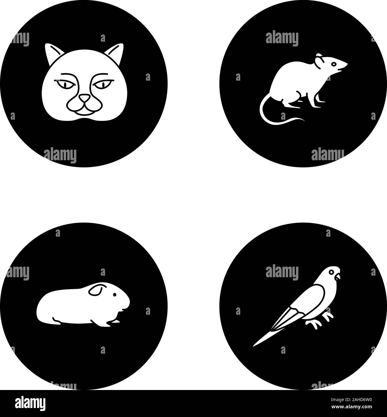 Pets glyph icons set. British cat, mouse, cavy, budgerigar. Vector white silhouettes illustrations in black circles Stock Vector