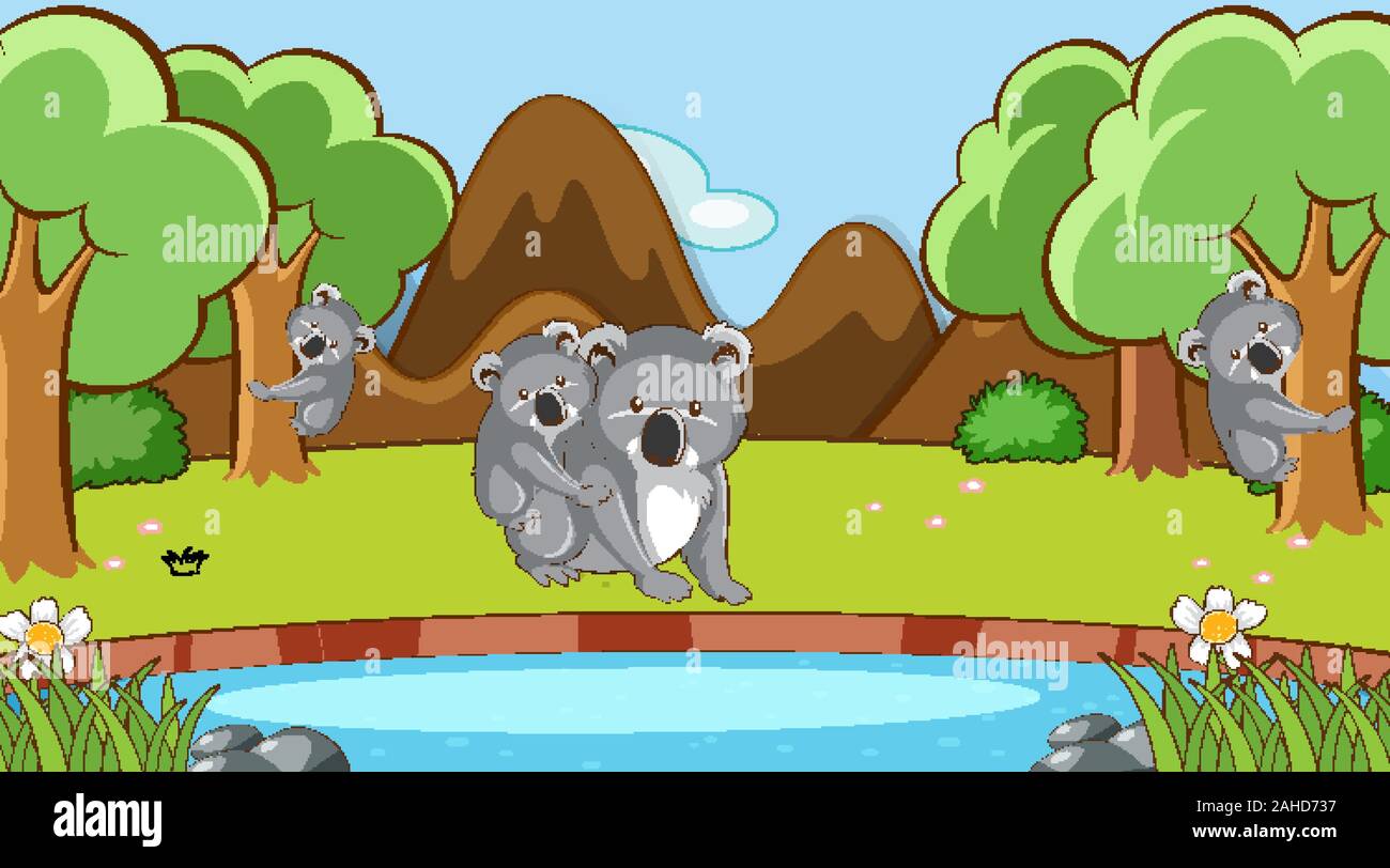 Scene with koala in forest illustration Stock Vector Image & Art - Alamy