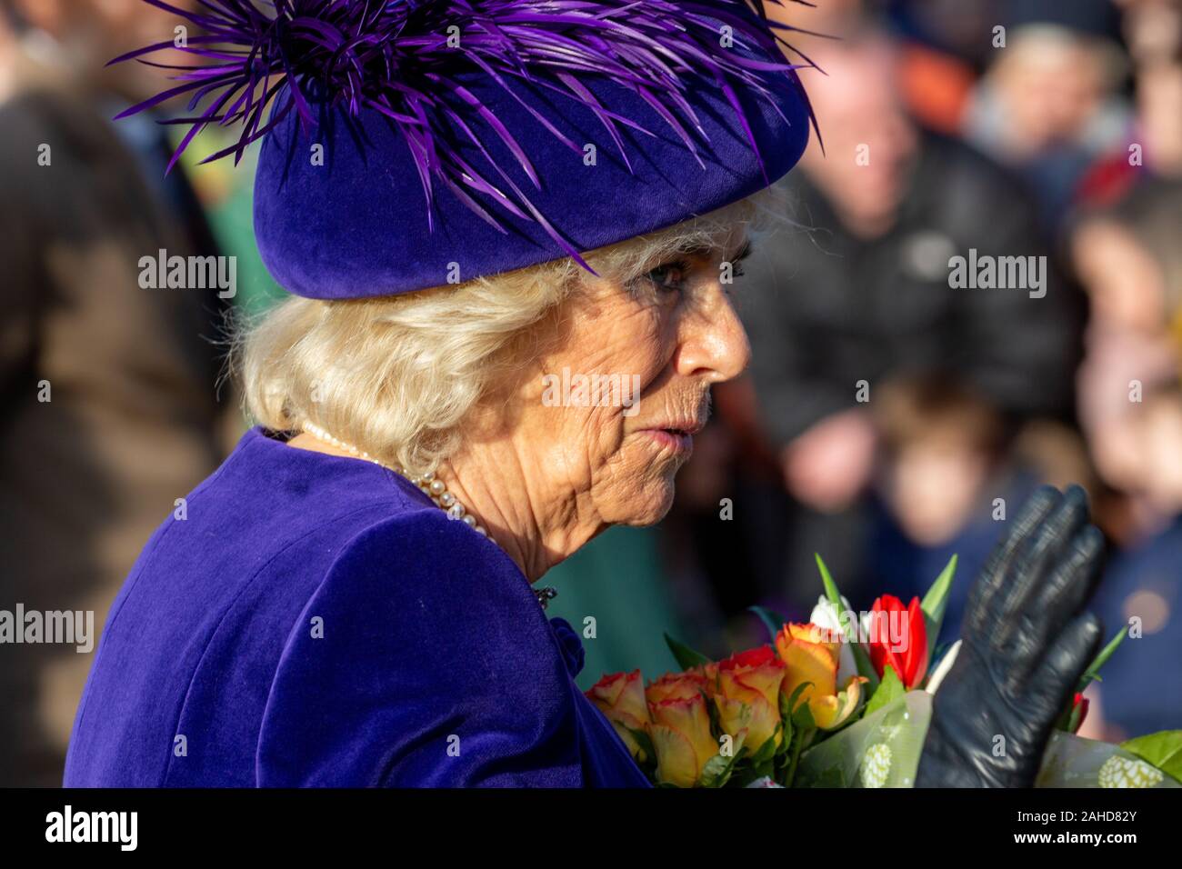 Picture dated December 25th shows Camilla,the Duchess of Cornwall,at the Christmas Day morning church service at St Mary Magdalene Church in Sandringham, Norfolk.   Prince Andrew kept a low profile as members of the Royal Family attended Christmas Day church services in Sandringham in Norfolk. While a large crowd watched the Queen and family members arrive for the main 11am service, the prince attended an earlier service. Prince Andrew was also absent as family members left the church after the service to greet members of the public. Prince Philip, who was released from hospital on Tuesday, di Stock Photo