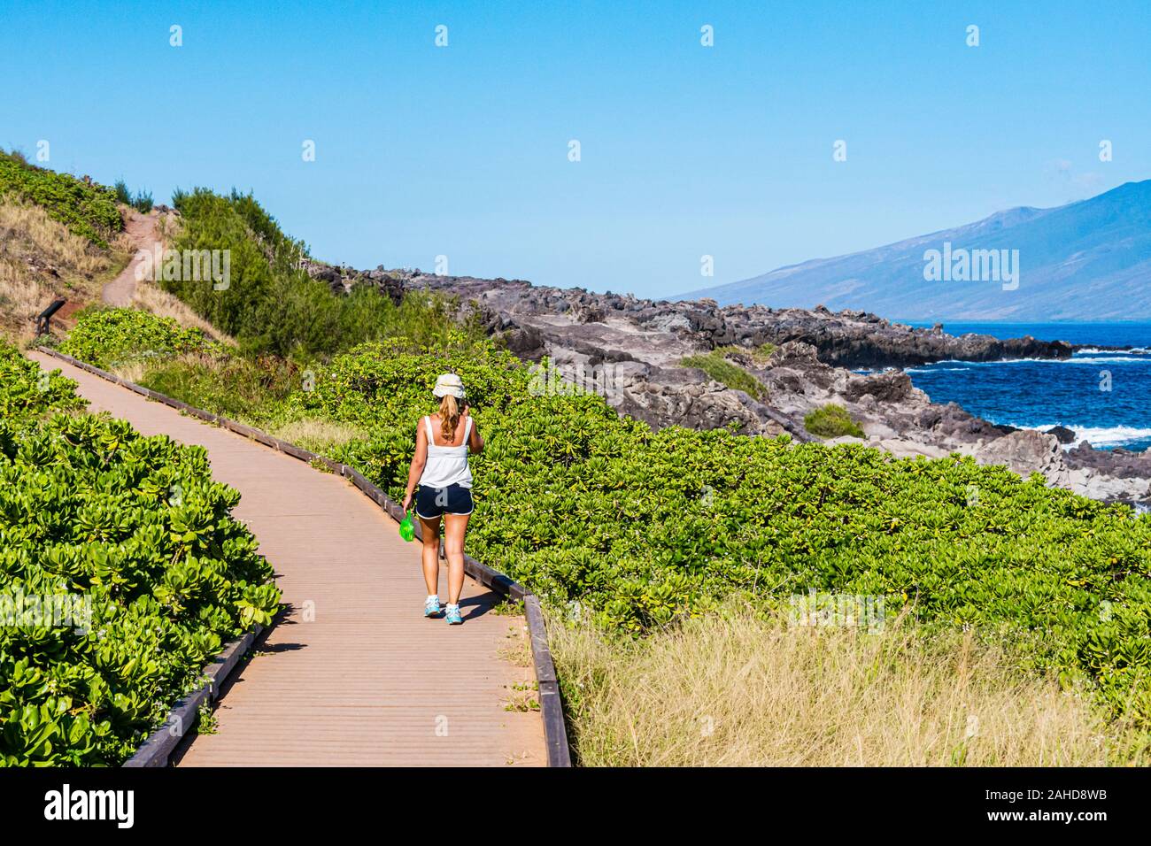 Maui ocean shoreline hi-res stock photography and images - Alamy