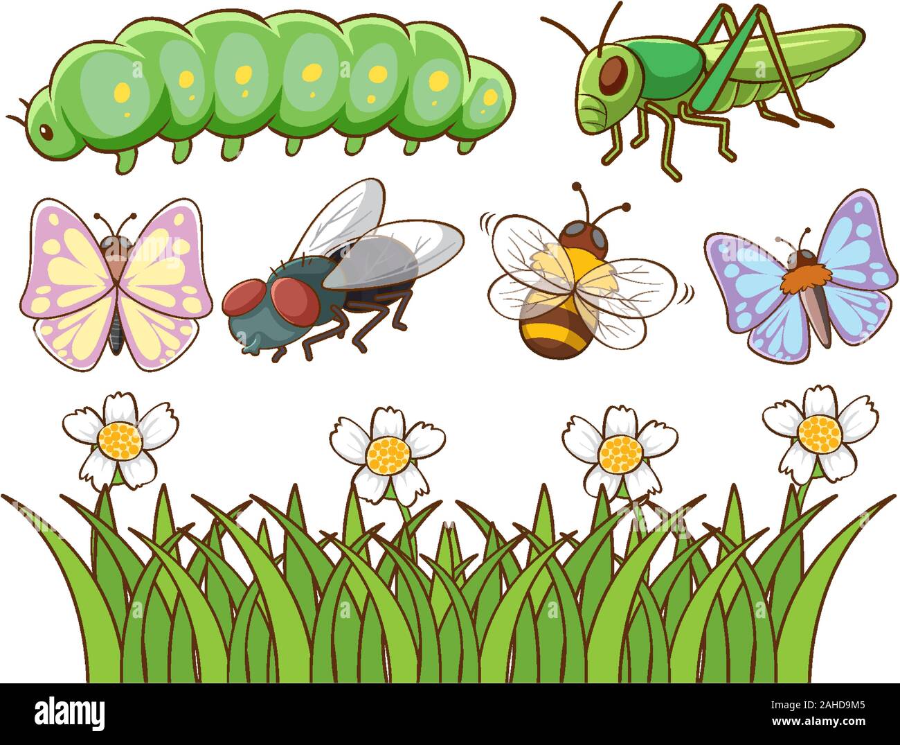 Isolated picture of different insects illustration Stock Vector Image ...