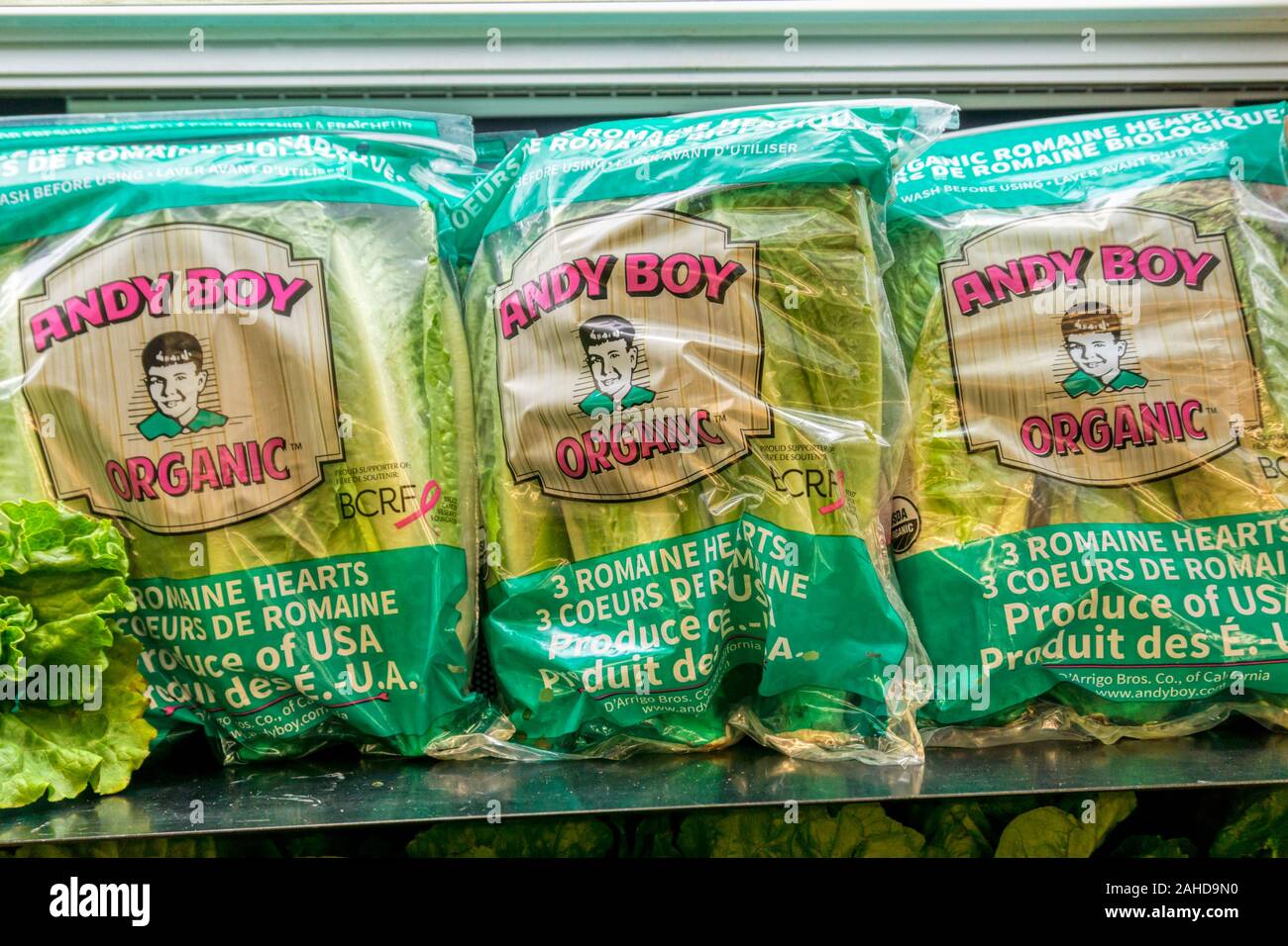 Plastic bags of Andy Boy organic Romaine lettuce hearts for sale on the shelves of a Canadian supermarket. Stock Photo