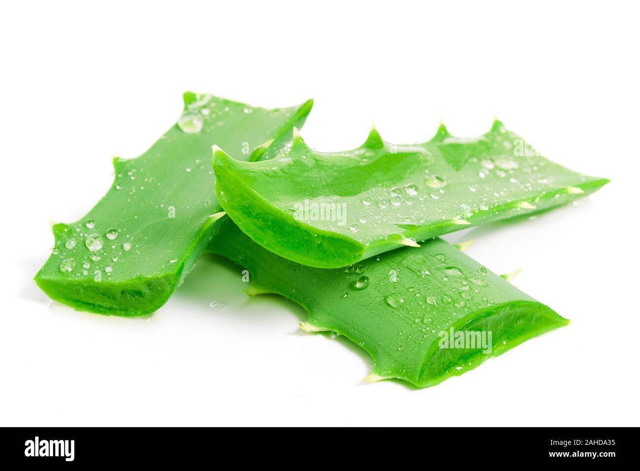 Fresh aloe vera leaves with water drops isolated on white background in  close-up Stock Photo - Alamy