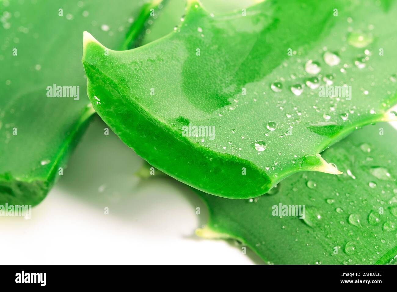aloe vera haarspray selber machen Haarspray Aloe Vera 2x200ml