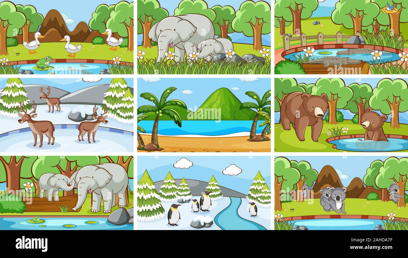 Background scenes of animals in the wild illustration Stock Vector ...