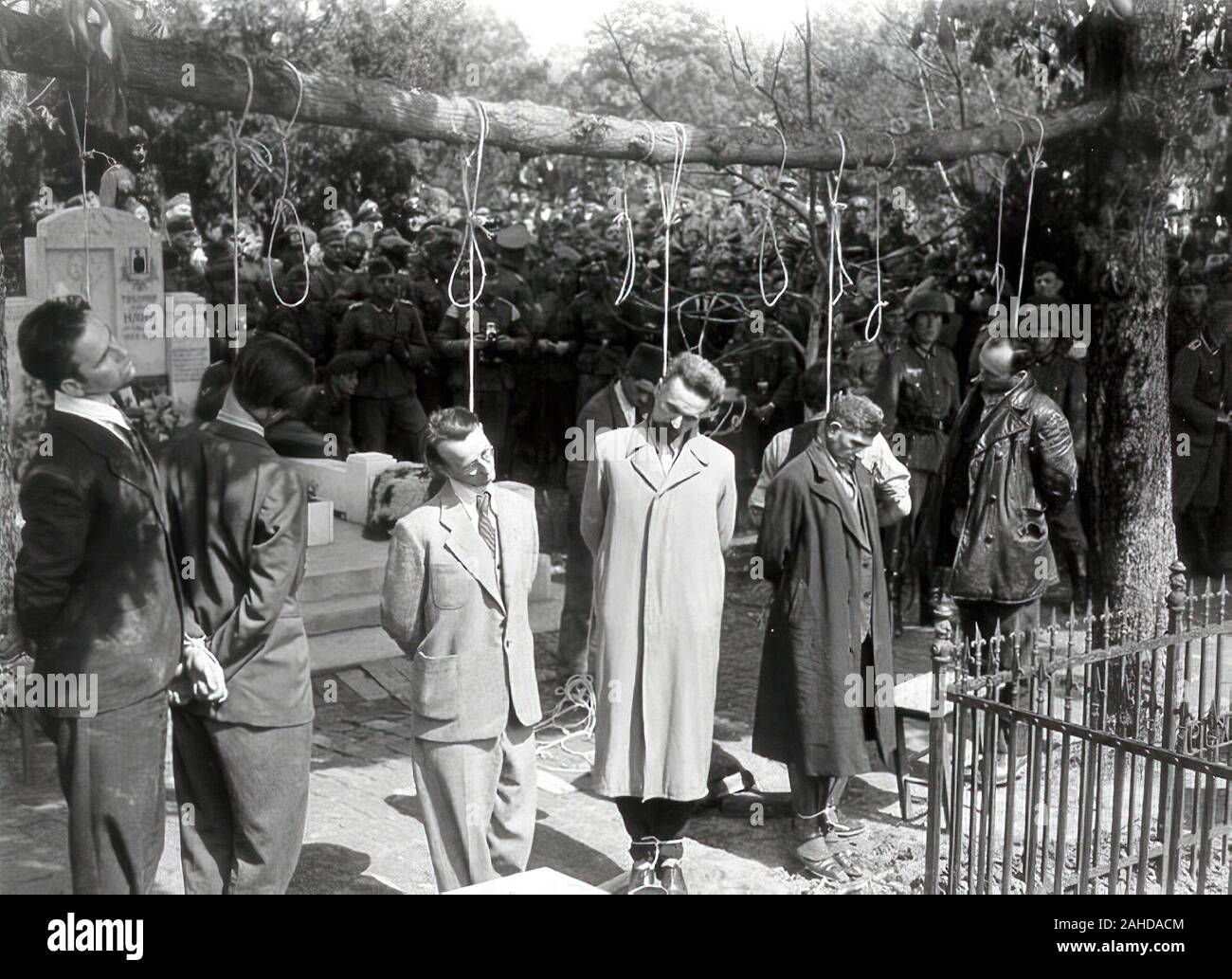 German Army executions (Gross Deutchland Division) of 36 Serbian civilians in Pancevo on April 21-22, 1941 during the invasion of Yugoslavia Stock Photo