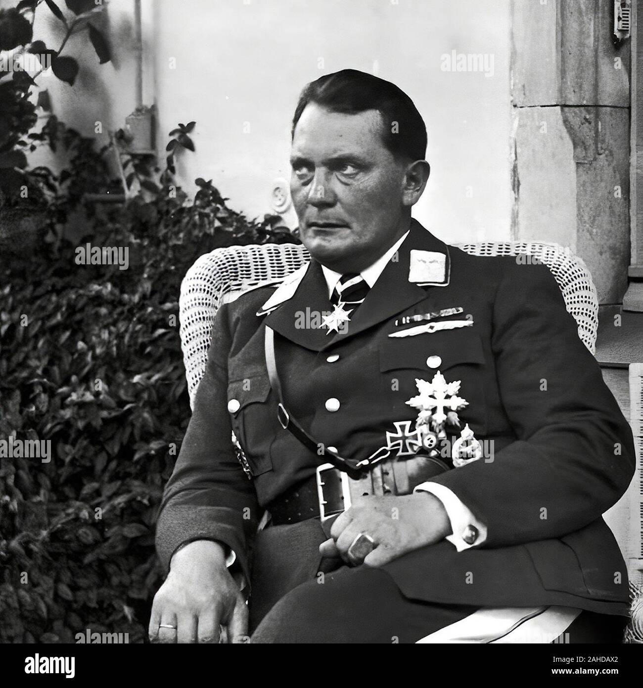Hermann Goering, 1893-1946, Stock Photo
