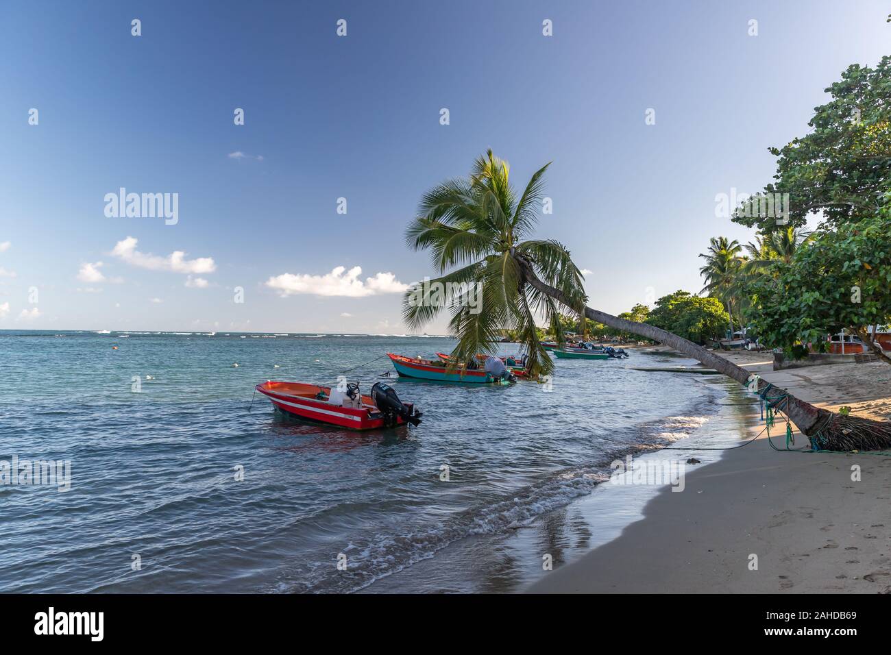 Fishing boats in water in Trinite, Martinique, France Stock Photo Alamy