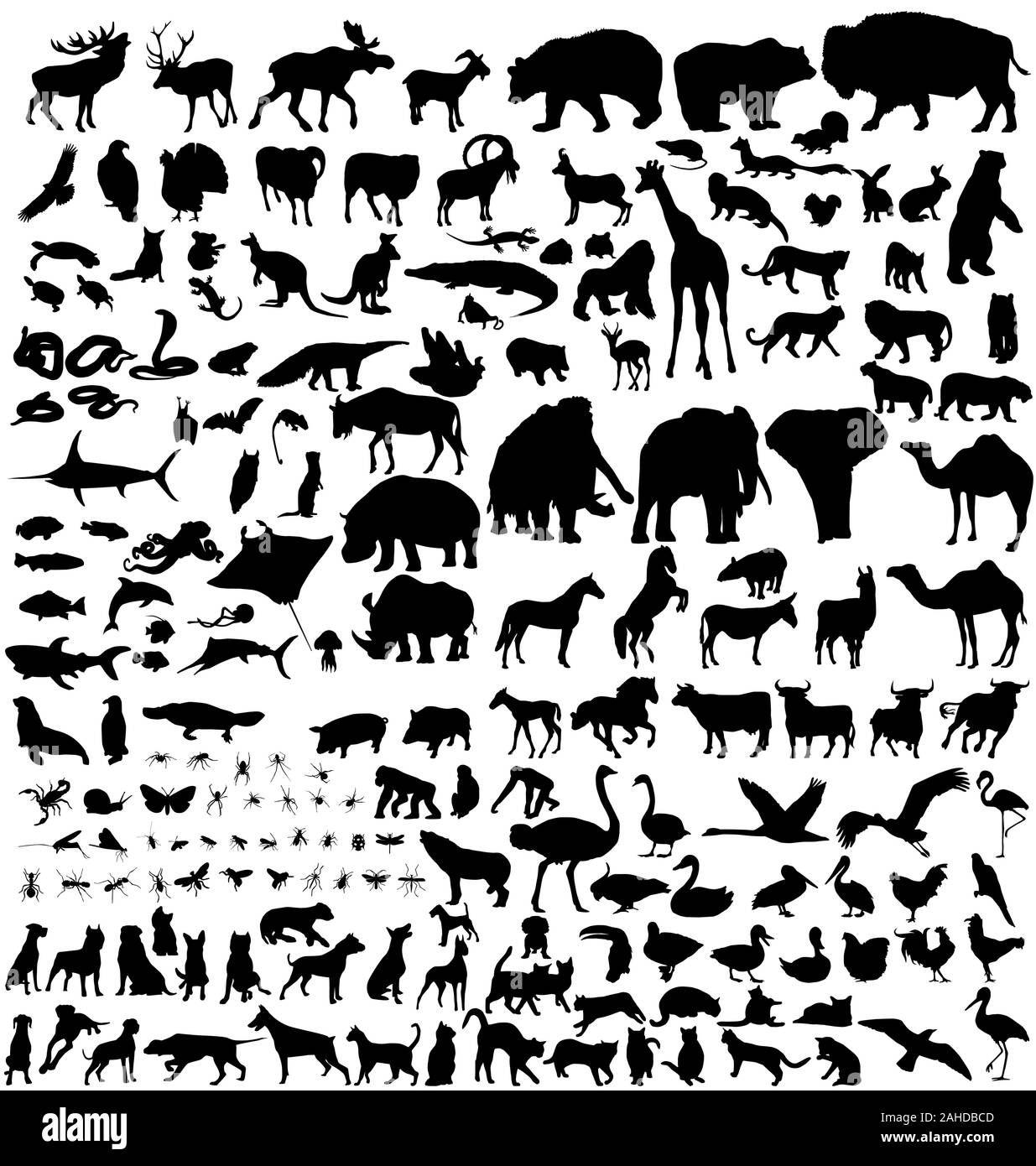 large set of animals vector silhouettes Stock Vector