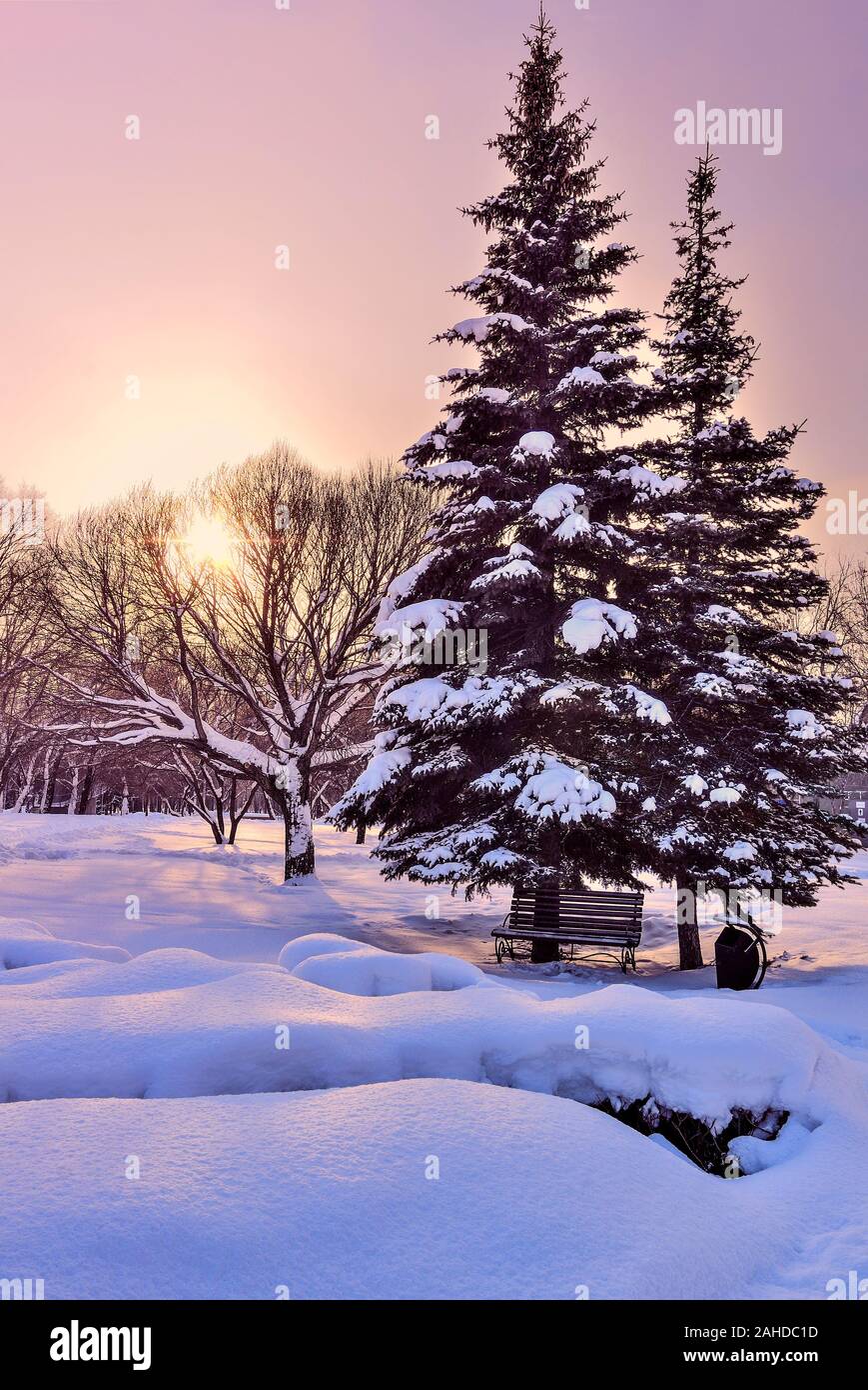 PHOTO LANDSCAPE WINTER SNOW FOGGY SUNRISE TREE BENCH ART PRINT POSTER MP3948B