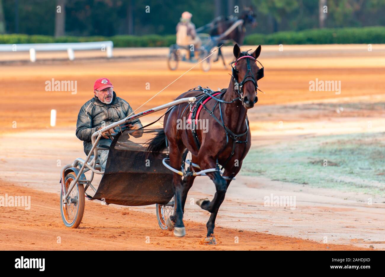 Pinehurst, North Carolina, USA. 28th Dec, 2019. Dec. 28, 2019 - Pinehurst, N.C., USA - HOMER HOCHSTETLER exercises one of his horses during winter training at the Pinehurst Driving & Training Club, Pinehurst Harness Track, Pinehurst, North Carolina. Homer Hochstetler Racing Stables is one of many harness racers from the Northeast U.S. who come to Pinehurst for winter training. Credit: Timothy L. Hale/ZUMA Wire/Alamy Live News Stock Photo