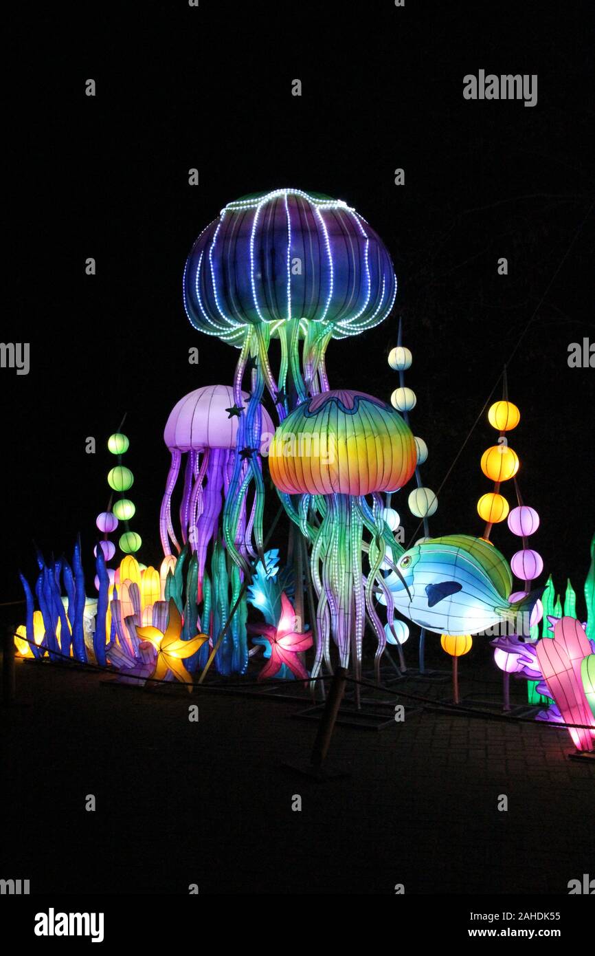 China Light Festival In Ouwehands Zoo The Netherlands Stock Photo