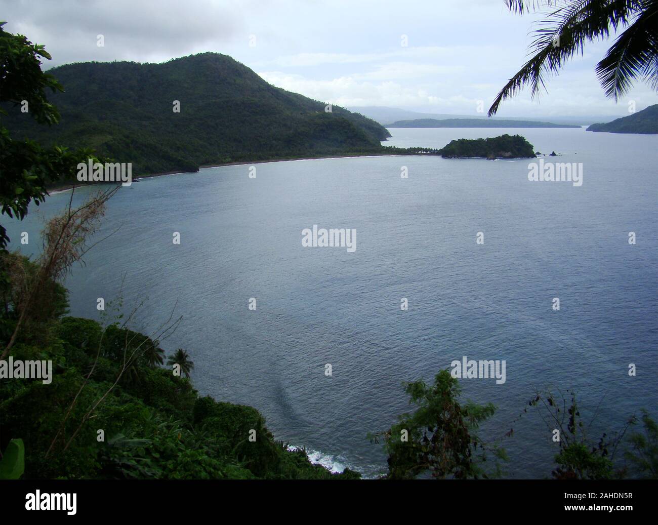 Lush lowland tropical forest in the coast of Bicol province, south-eastern Luzon island (The Philippines) Stock Photo