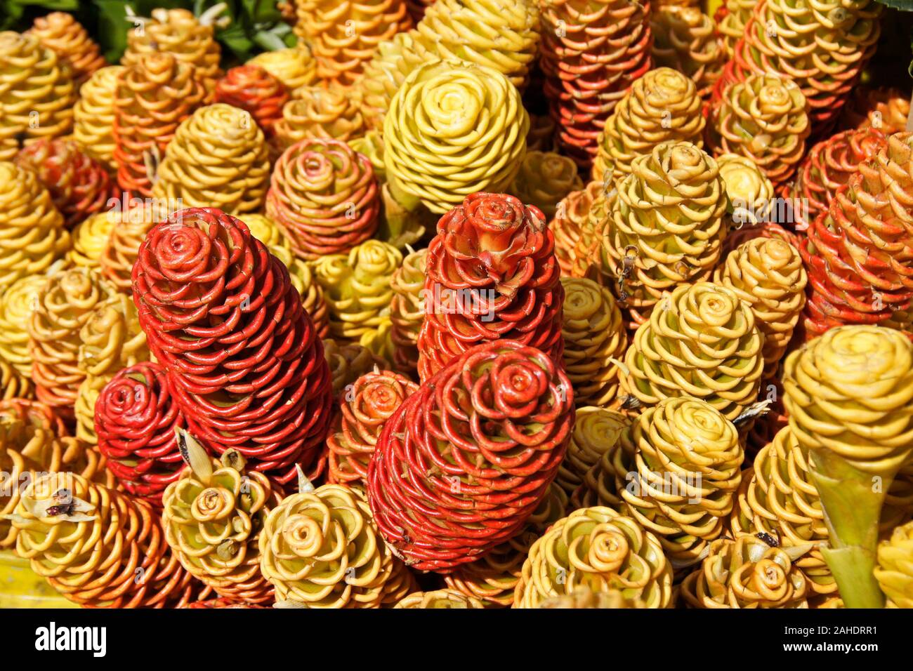 Colorful bromeliad flowers displayed for sale at Paloquemao market, Bogota, Colombia Stock Photo