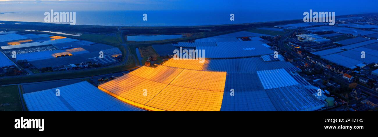 Luchtfoto van de kassen in het Westland 'De Glazen Stad' bij nacht Stock  Photo - Alamy