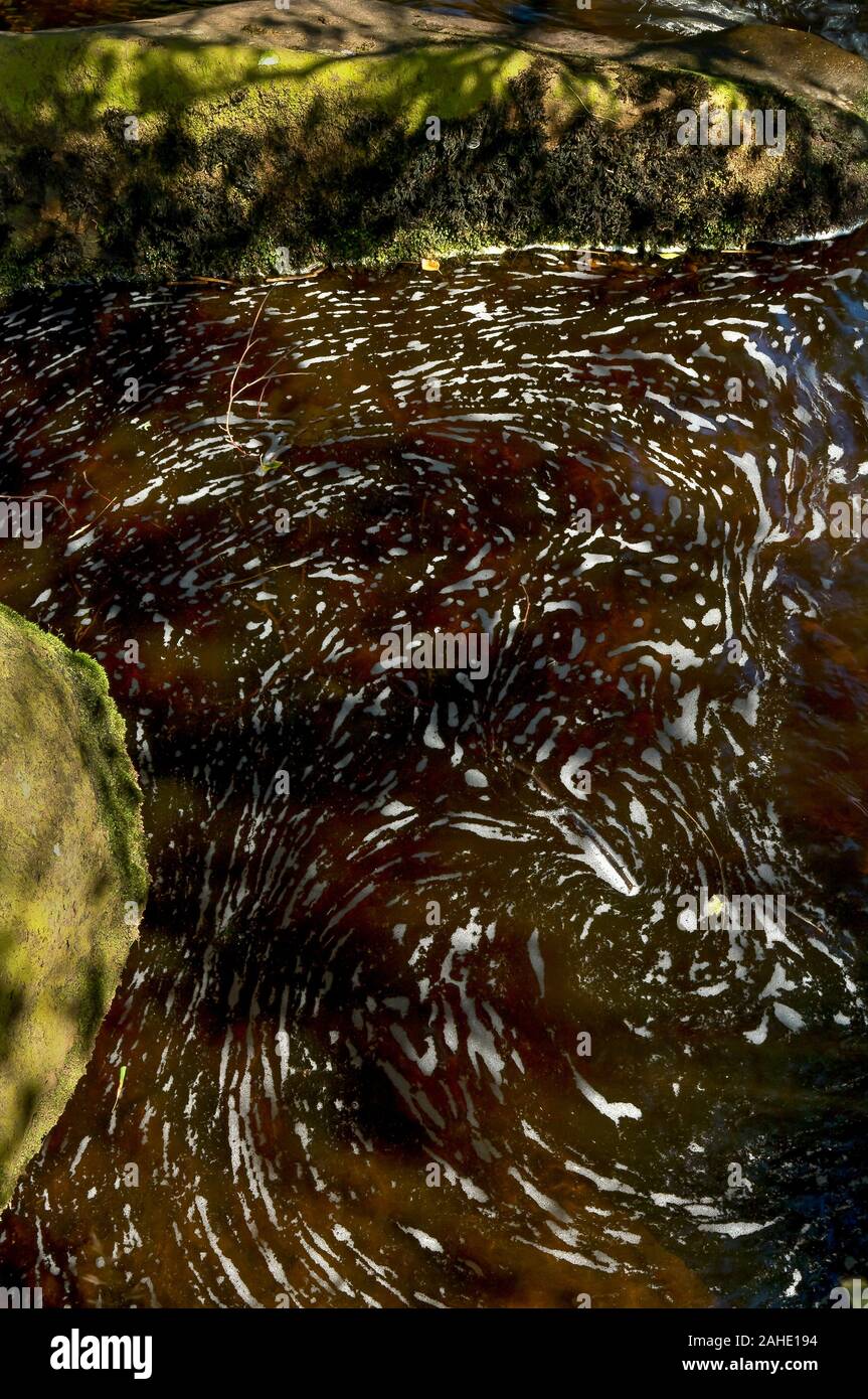 Swirling patterns of foam on the surface of a stream in bright sunshine Stock Photo