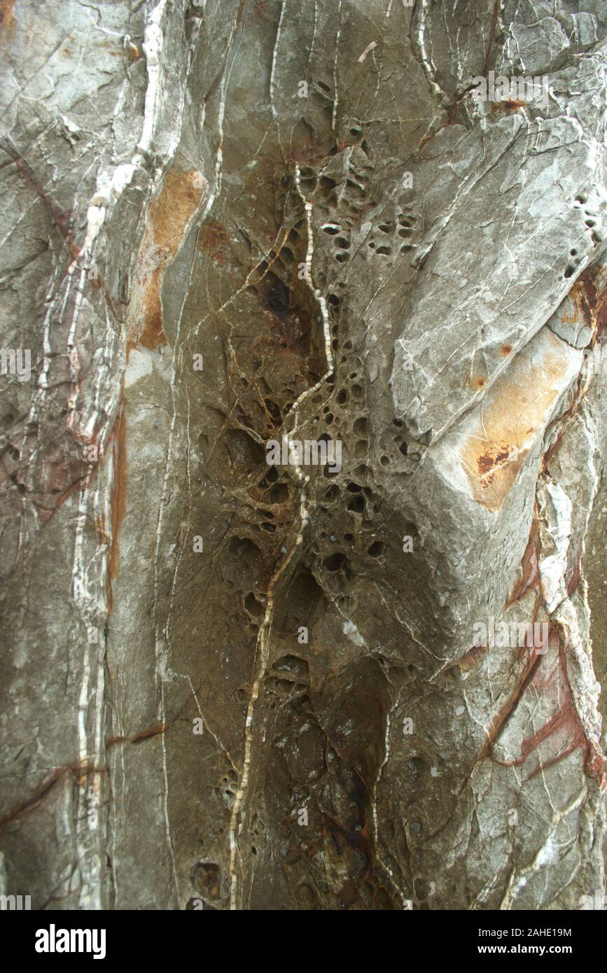 Eroded porous rock with quartz veins. Texture detail close up Stock