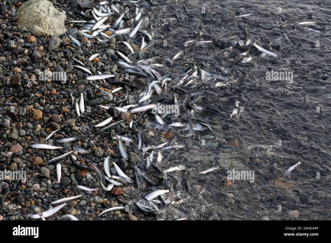 Drawing on rock hires stock photography and images Alamy