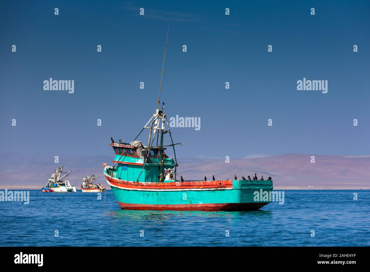 Pisco Fish Anchor on pacific shore hi-res stock photography and images - Alamy