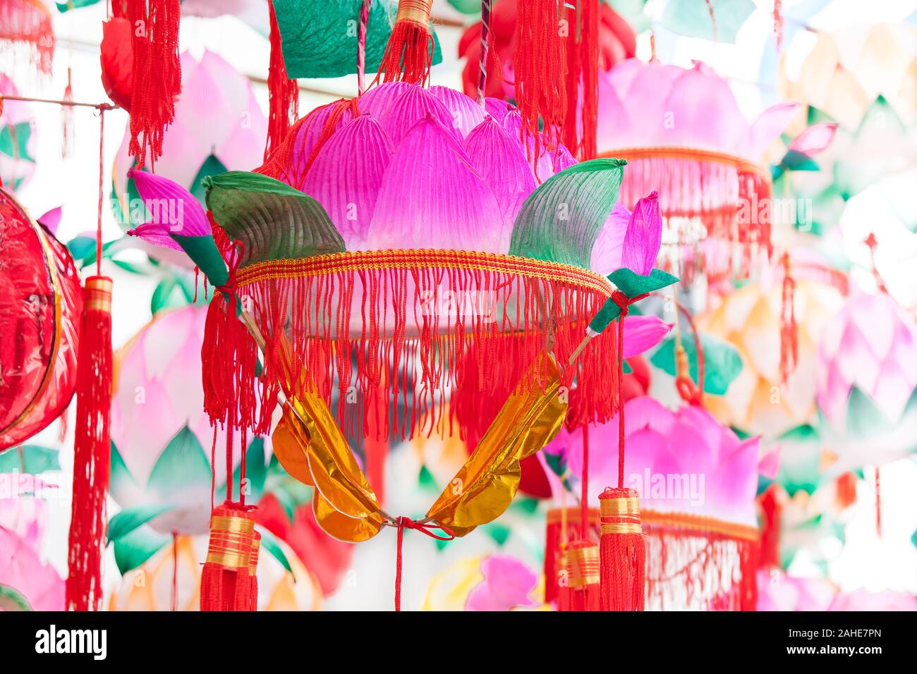 Group of Traditional colorful Chinese Lotus shaped Lanterns hanging for Chinese new year and Chinese lantern Festival in a park, Fuzhou,Fujian,China Stock Photo