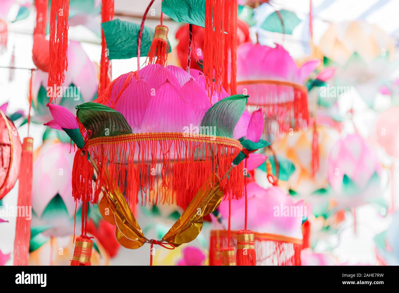Group of Traditional colorful Chinese Lotus shaped Lanterns hanging for Chinese new year and Chinese lantern Festival in a park, Fuzhou,Fujian,China Stock Photo