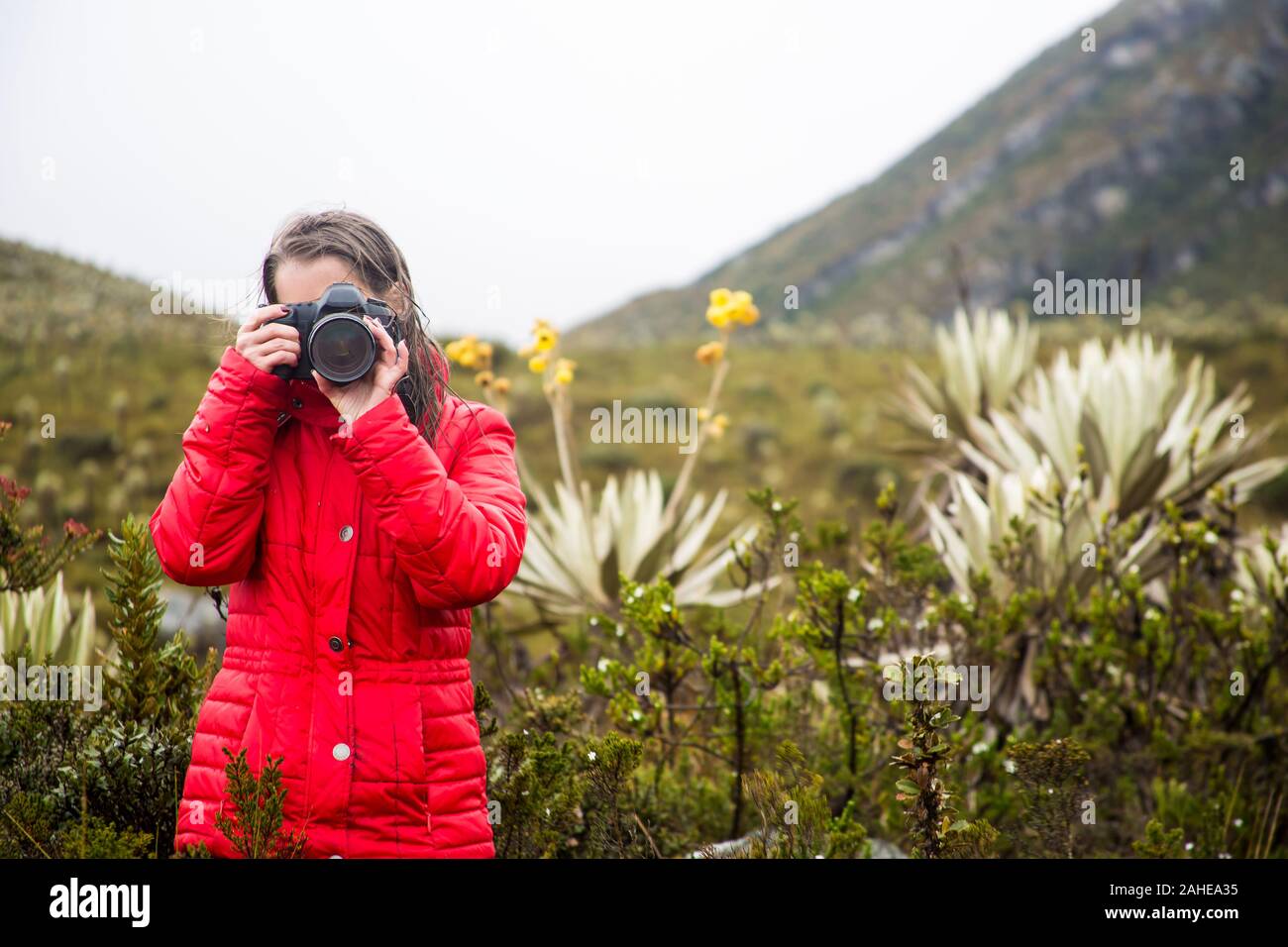 Woman exploring a typical paramo in the department of Cundinamarca  in Colombia Stock Photo