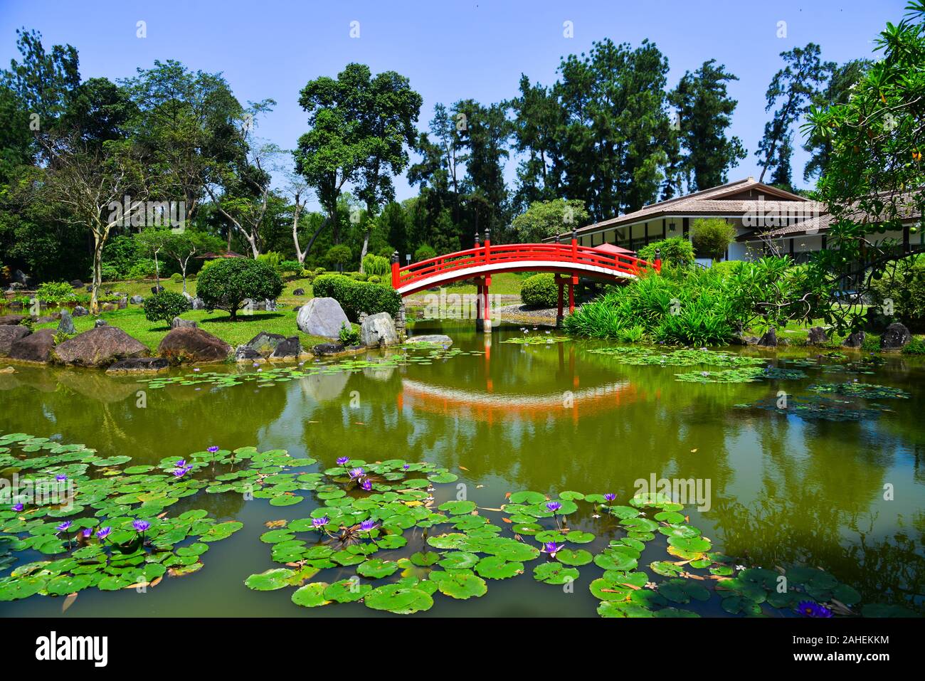 Landscaped grounds and traditional red bridge at the Japanese Garden in ...