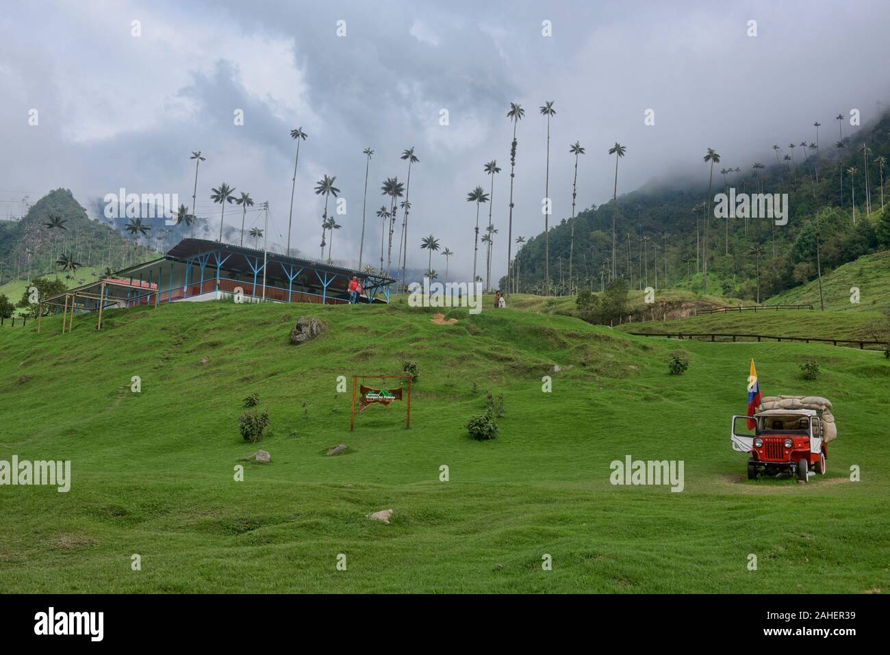 Vintage Willy jeep under wax palms, Cocora Valley, Salento, Colombia Stock Photo