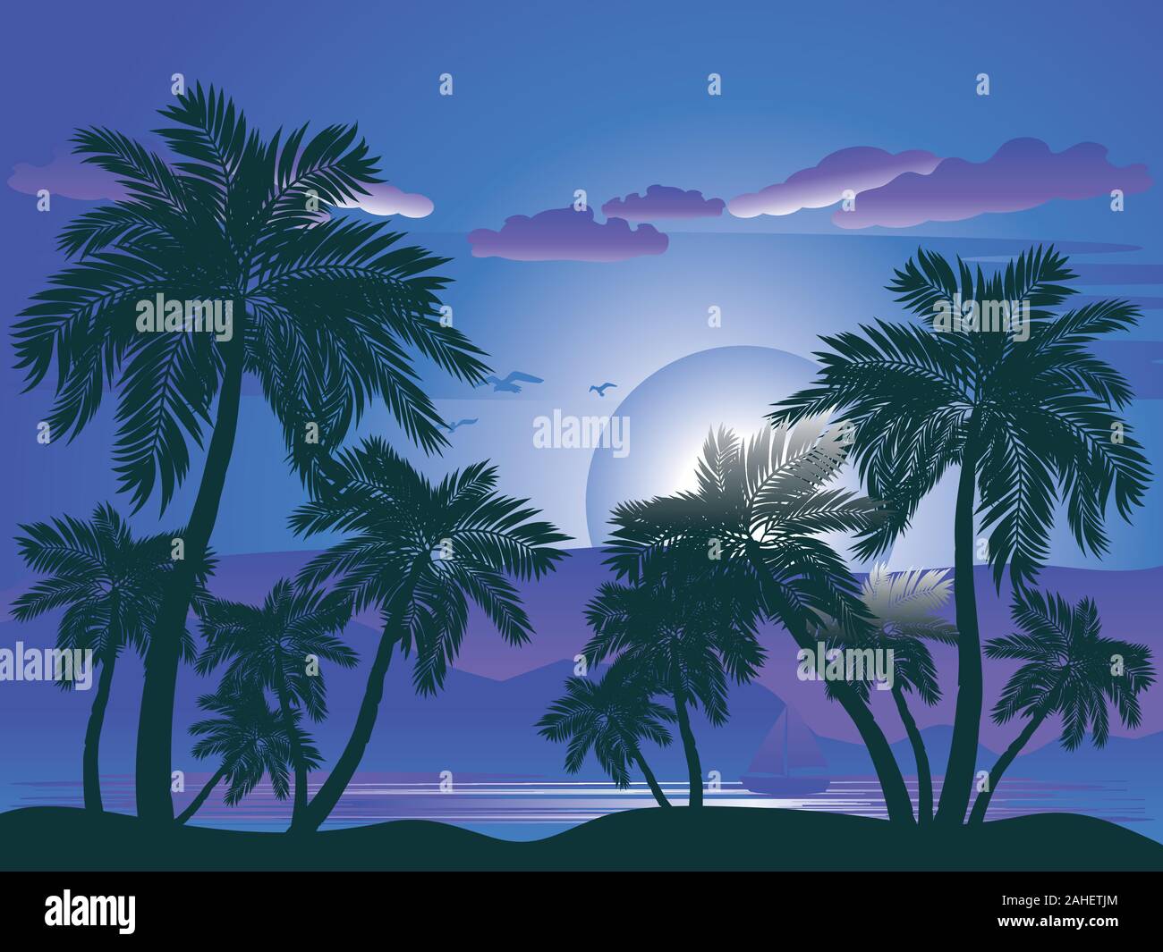 Tropical landscape with palm trees at night. Stock Vector
