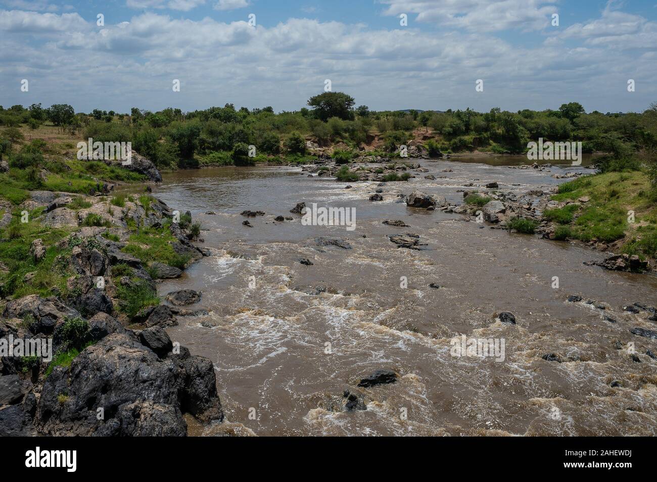 Sand River, Masai Mara Natural Reserve, Kenya, Africa Stock Photo