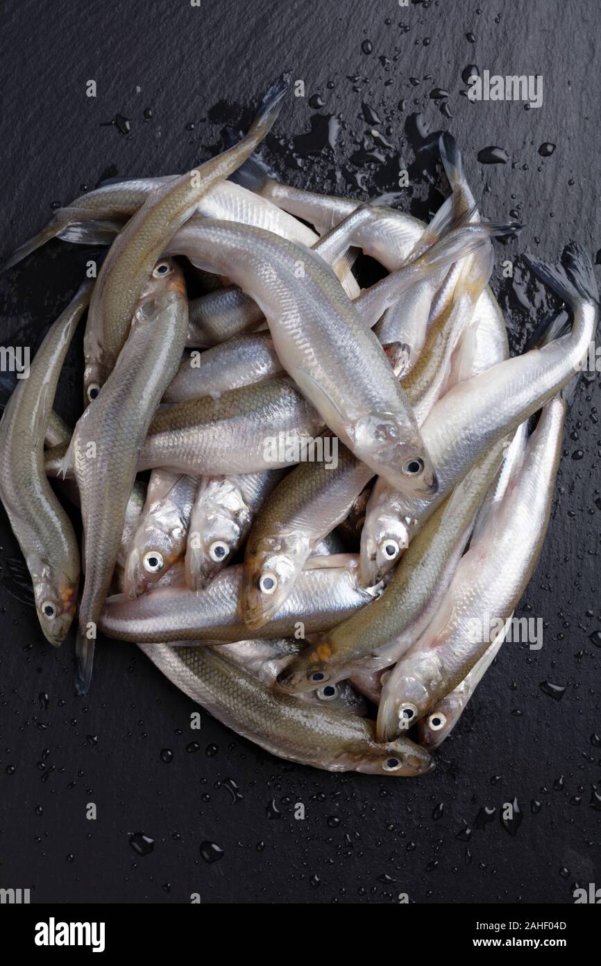 Heap of raw smelt fishes on a black slate surface Stock Photo