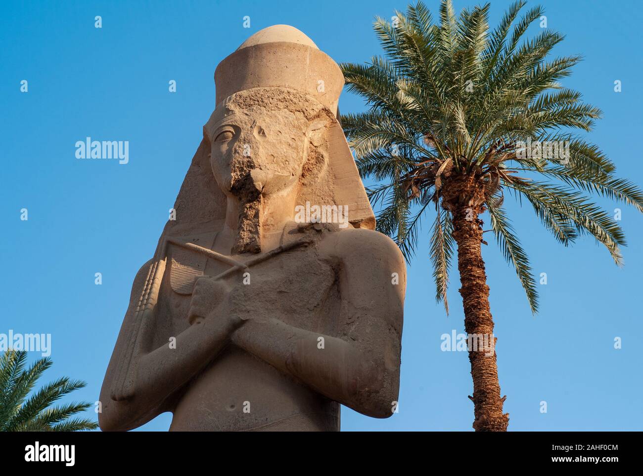 Statue of Ramesses II at Karnak Temple in Luxor Egypt with Palm Tree Stock Photo