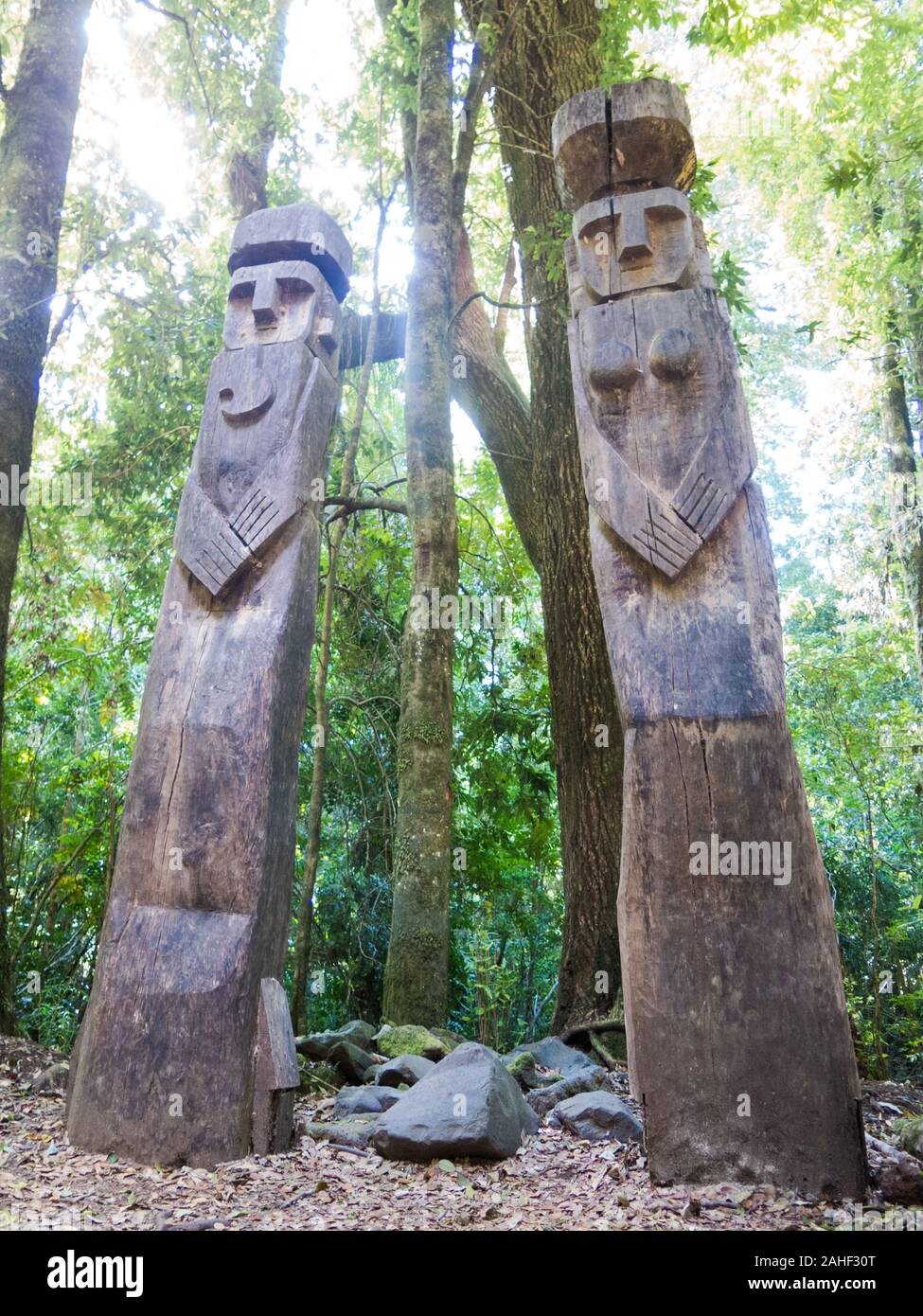 Wooden statue, in the middle of the Huilo Huilo Biological Reserve, regressing animals and Mapuche mystical characters from southern Chile. Los Ríos R Stock Photo