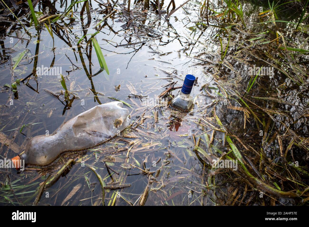carelessly discarded plastic bottles and glass liquor bottles float in
