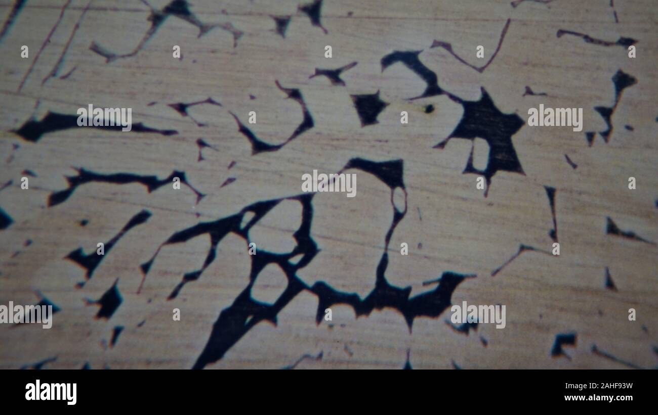 metallurgical micrograph of brass braze metal showing a peritectic reaction, x150, etched in