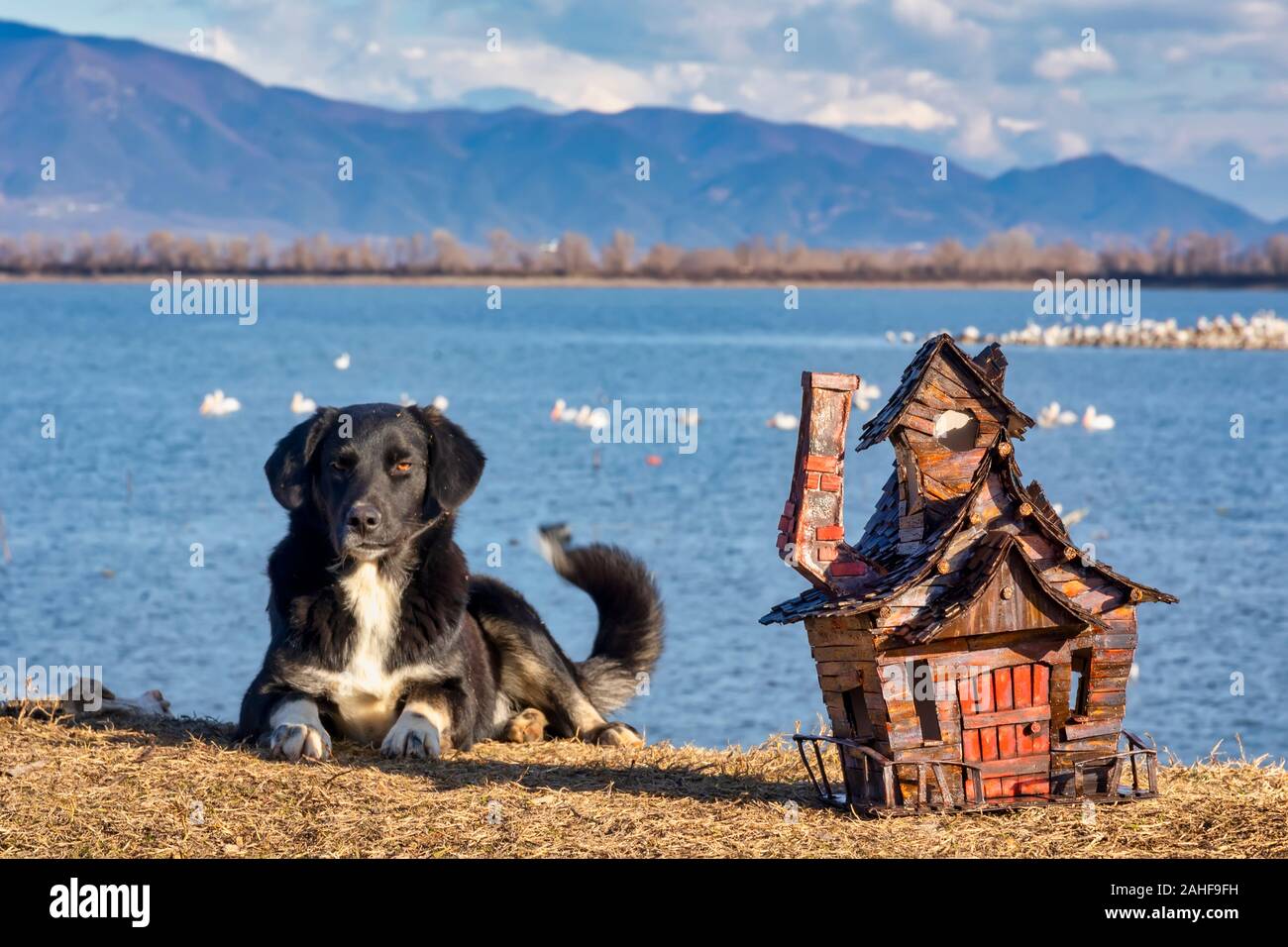 handmade old wooden miniature mountain house by the lake next to a guard dog. shallow DOF Stock Photo