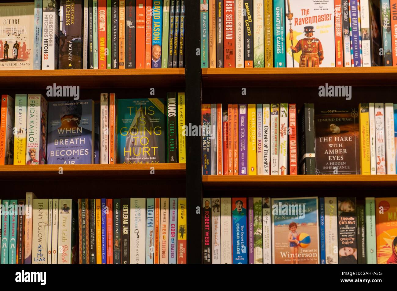 Various Paperback Books On Book Shelves In A Book Shop Or Book