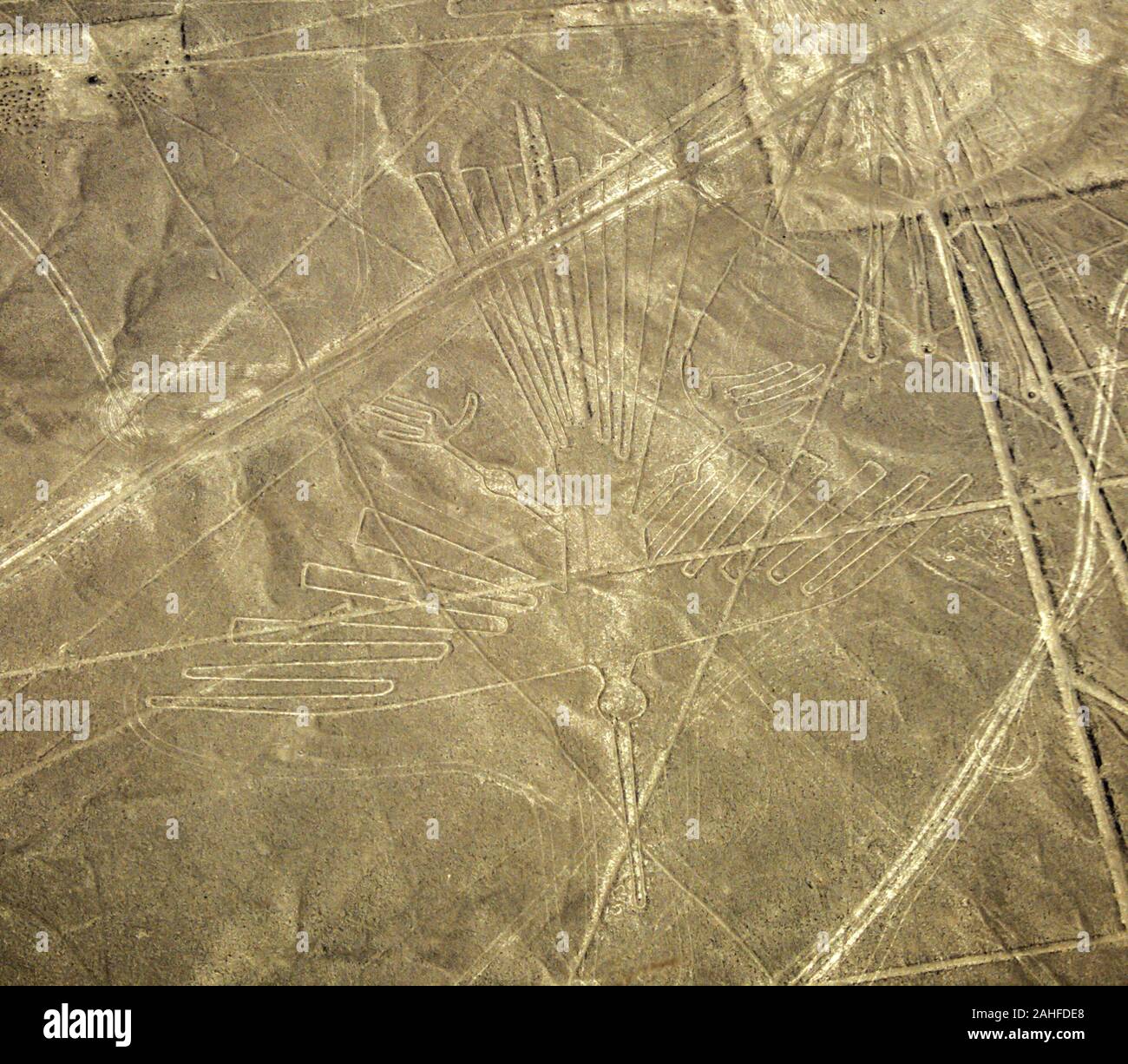 Aerial view of the Condor. The Nazca Lines are a group of very large geoglyphs formed by depressions or shallow incisions made in the soil of the Nazc Stock Photo
