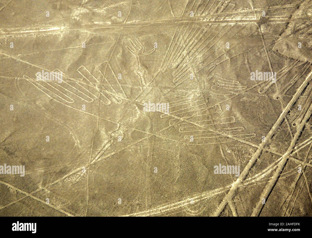 Aerial view of the Condor. The Nazca Lines are a group of very large geoglyphs formed by depressions or shallow incisions made in the soil of the Nazc Stock Photo