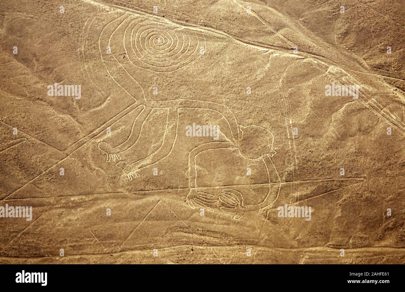 Aerial view of a monkey with a spiral tail. The Nazca Lines are a group of very large geoglyphs formed by depressions or shallow incisions made in the Stock Photo