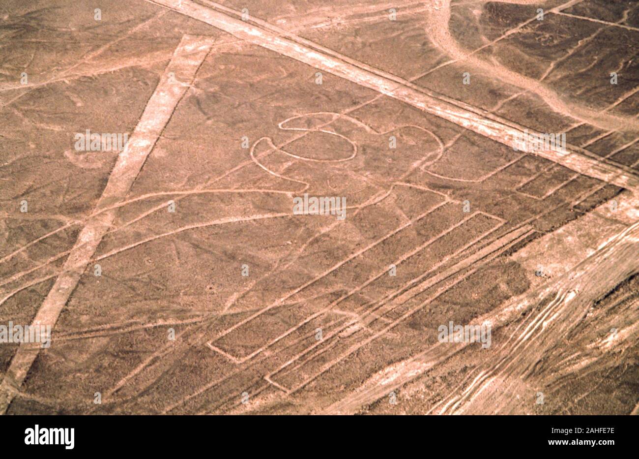 Aerial view of the parrot shape. The Nazca Lines are a group of very large geoglyphs formed by depressions or shallow incisions made in the soil of th Stock Photo